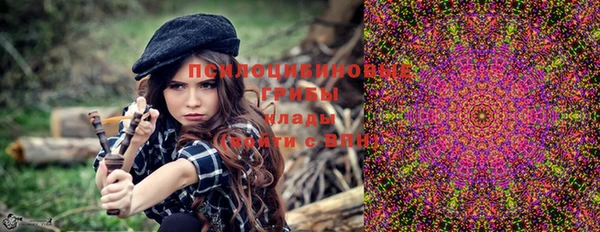 СК Железногорск-Илимский