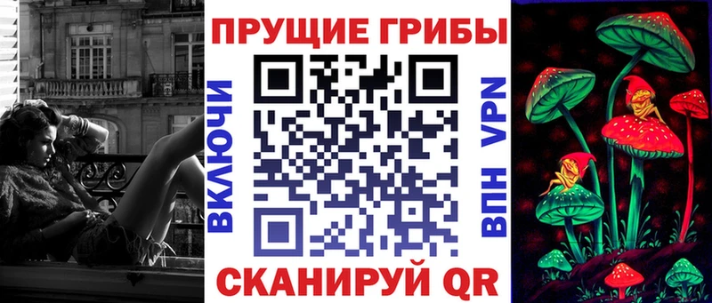 Галлюциногенные грибы Psilocybe  Купить  Вышний Волочёк 